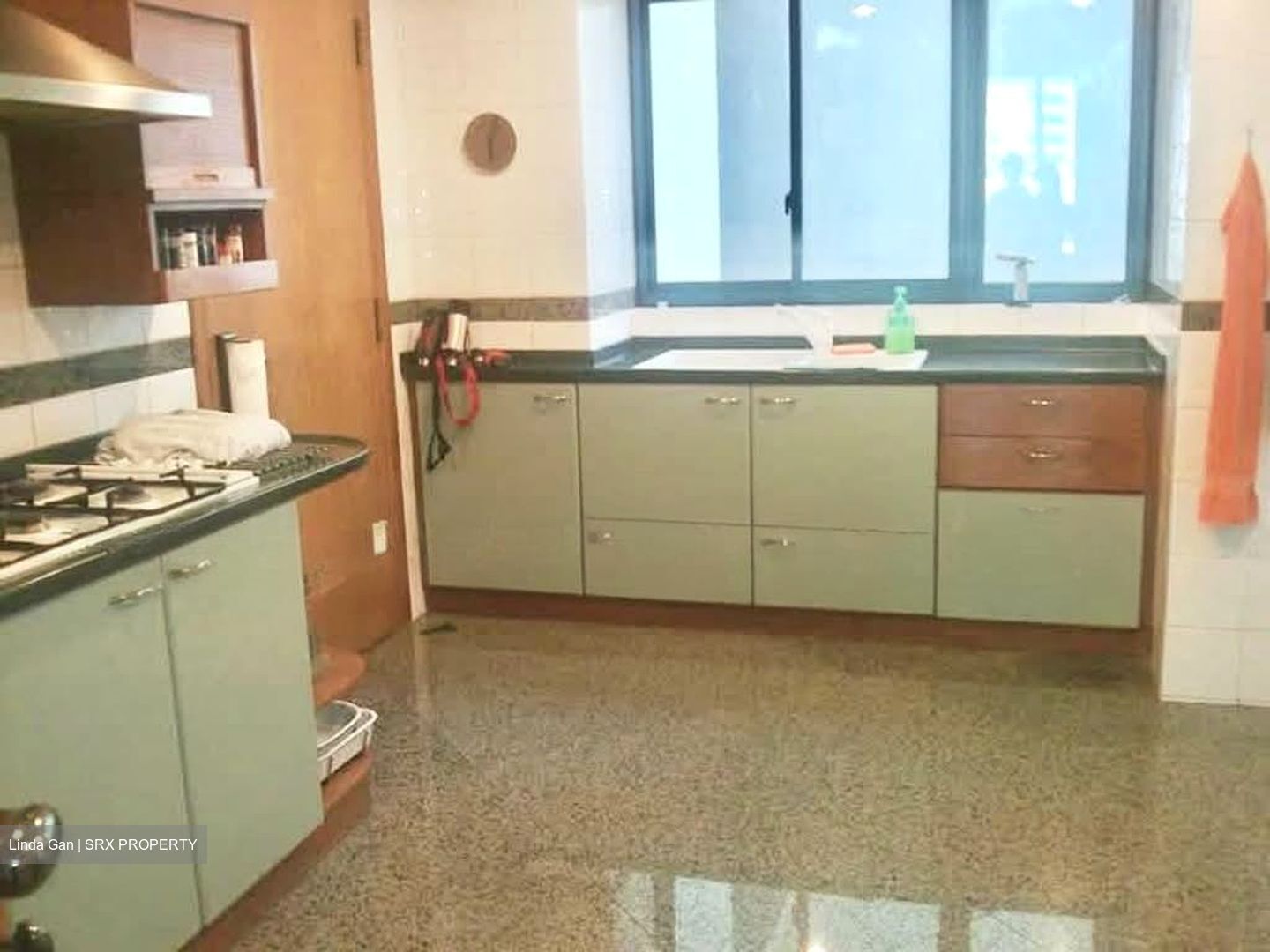 The Legend (D10), Condominium #562139531